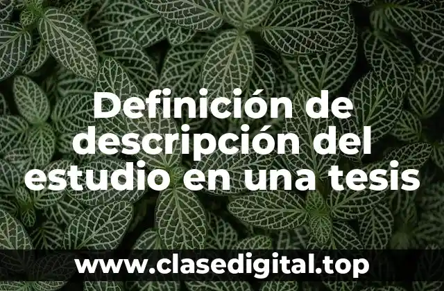 Ejemplos de descripción del estudio en una tesis