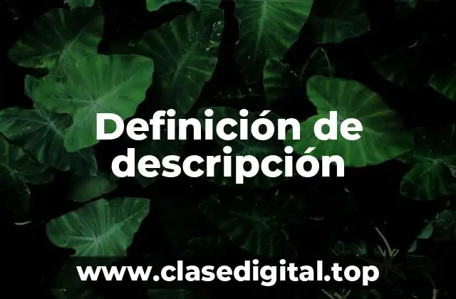 Definición técnica de descripción