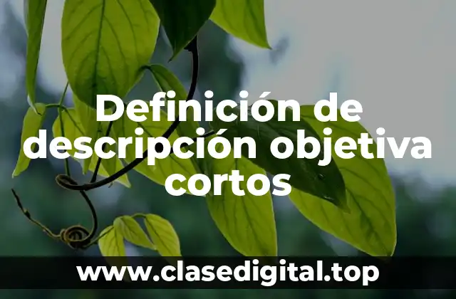 Ejemplos de descripción objetiva cortos