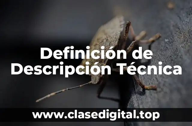 Definición Técnica de Descripción Técnica
