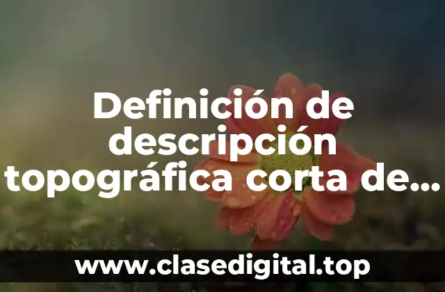 Ejemplos de descripción topográfica corta de un paisaje