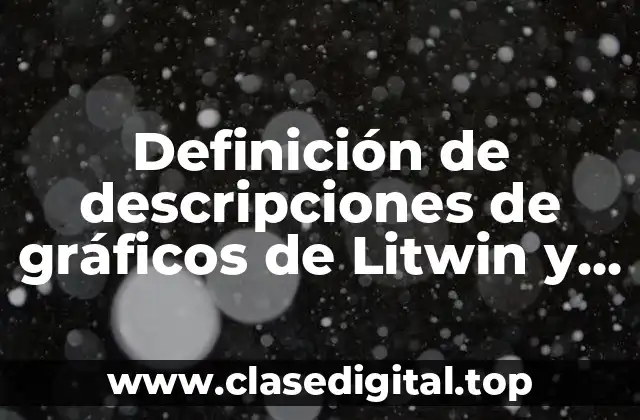 Definición de descripciones de gráficos de Litwin y Stinger