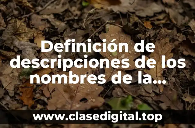 Definición de descripciones de los nombres de la empresa Barbie