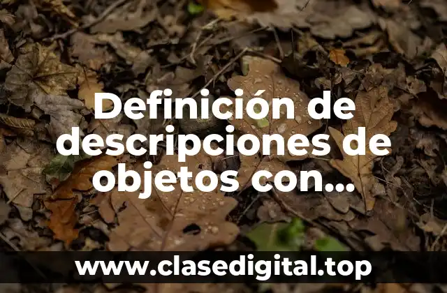 Definición de descripciones de objetos con pronombres relativos en inglés