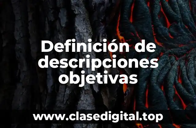 Ejemplos de descripciones objetivas