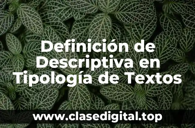 Definición de Descriptiva en Tipología de Textos