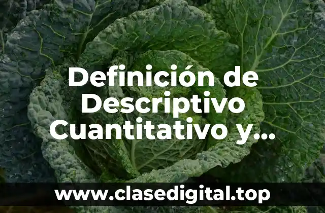 Definición de Descriptivo Cuantitativo y Transversal