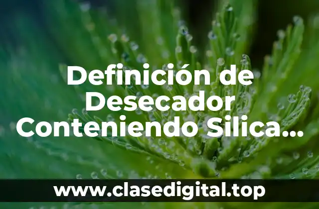 Definición de Desecador Conteniendo Silica Gel Colorido en Azul