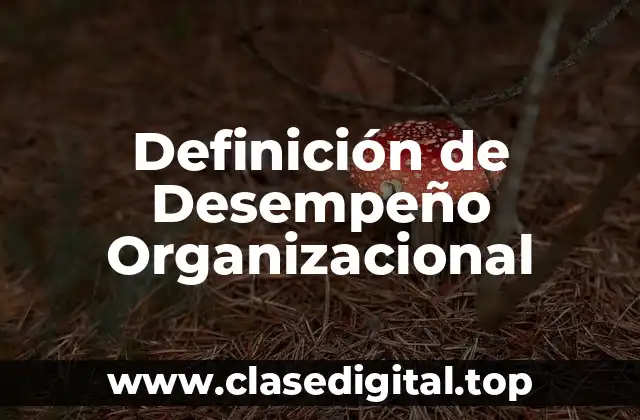 Definición de Desempeño Organizacional