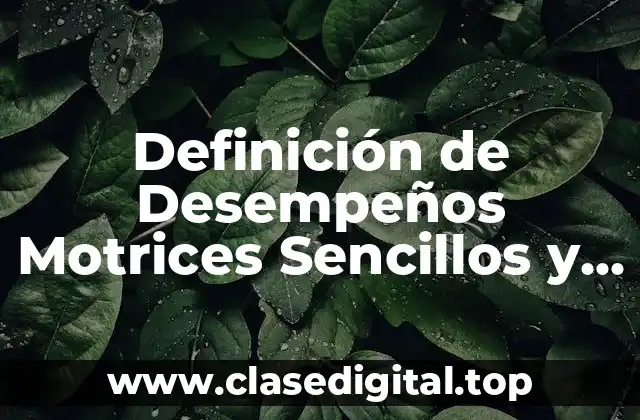 Definición de Desempeños Motrices Sencillos y Complejos