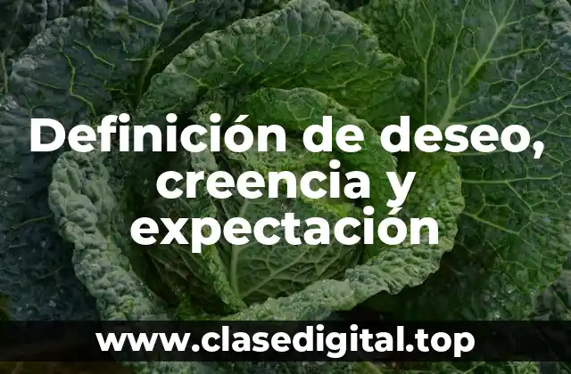 Definición de deseo, creencia y expectación