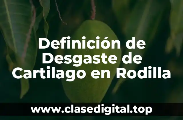 Definición de Desgaste de Cartilago en Rodilla