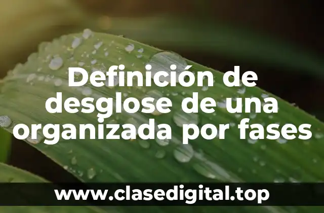 Definición de desglose de una organizada por fases