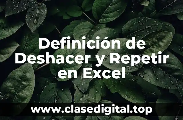 Definición de Deshacer y Repetir en Excel