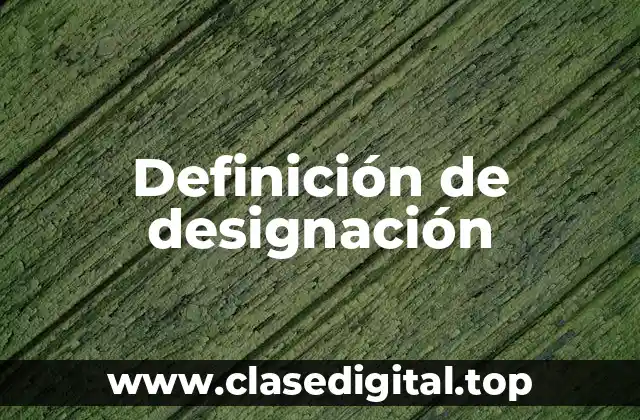 Definición de designación