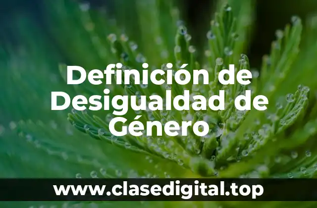 Definición de Desigualdad de Género