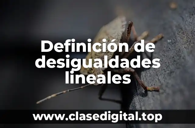 Definición técnica de desigualdades lineales