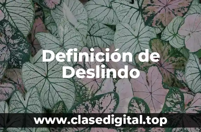 Definición de Deslindo