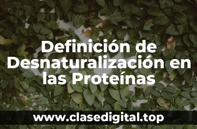 Definición de Desnaturalización en las Proteínas