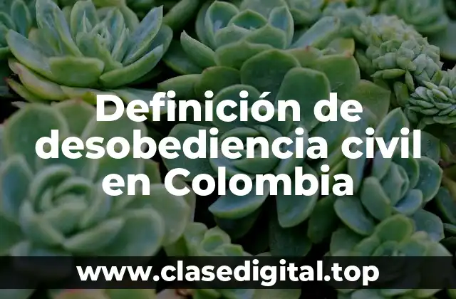 Definición de desobediencia civil en Colombia