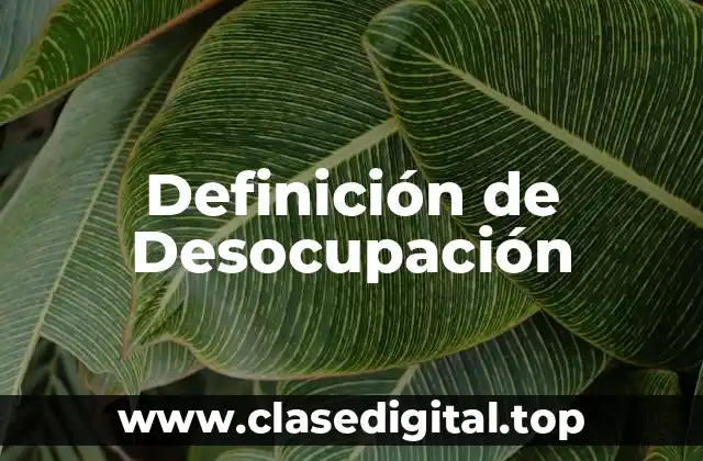 Definición de Desocupación