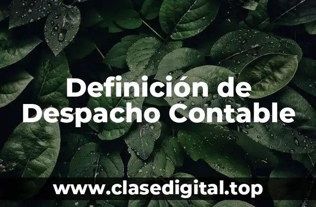 Definición de Despacho Contable