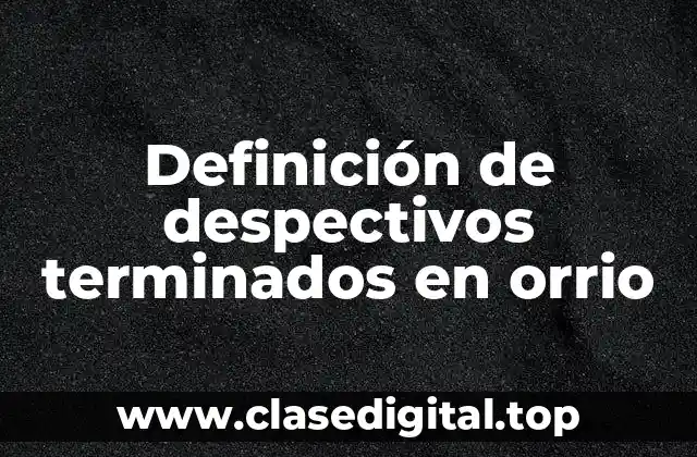 Definición de despectivos terminados en orrio