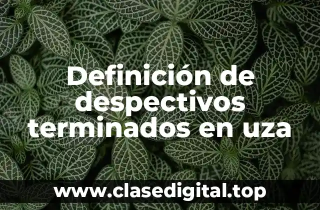 Definición de despectivos terminados en uza