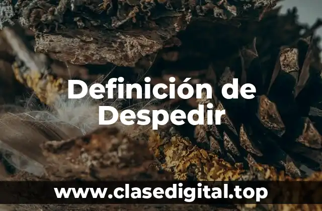 Definición técnica de despedir