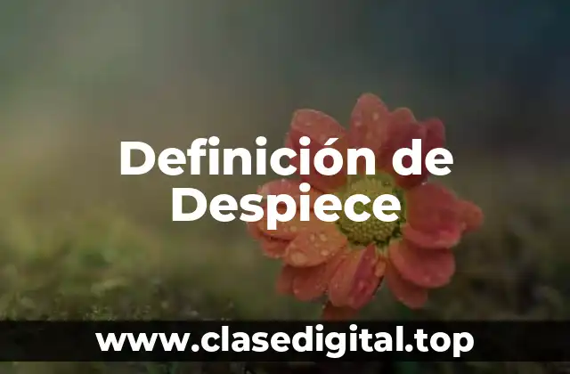Definición técnica de Despiece