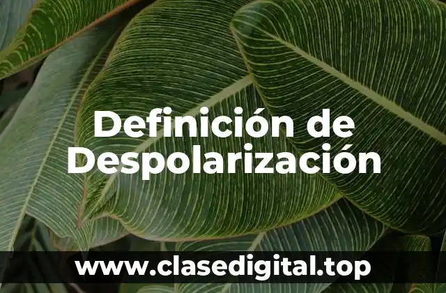 Definición de Despolarización