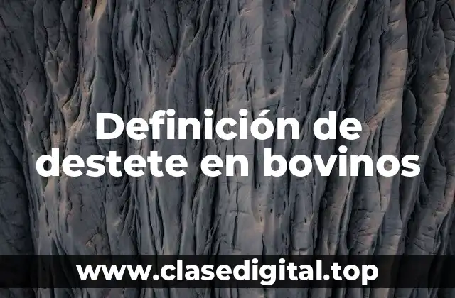 Definición de destete en bovinos