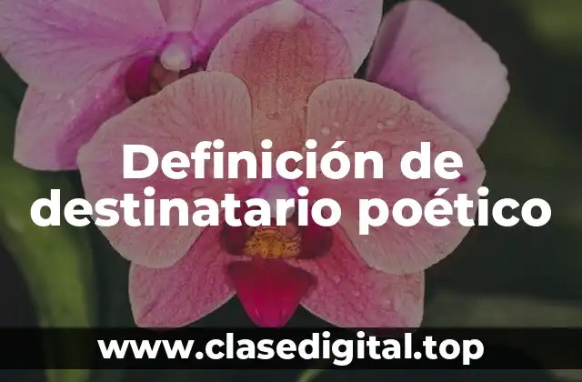 Definición de destinatario poético