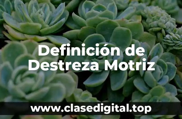 Definición de Destreza Motriz
