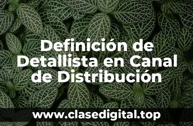 Definición de Detallista en Canal de Distribución