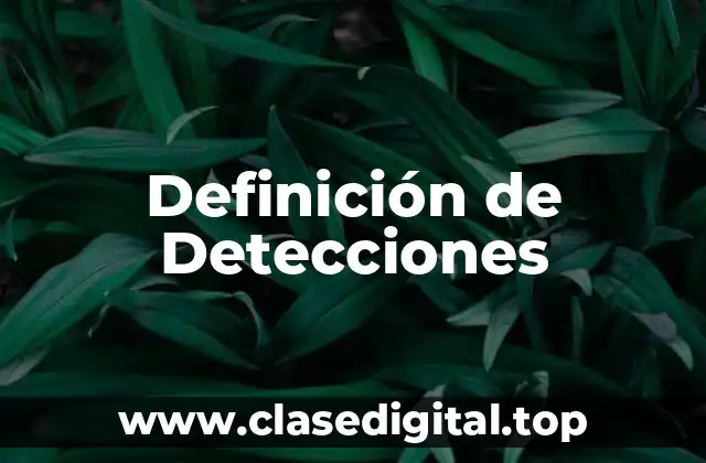 Ejemplos de Detecciones