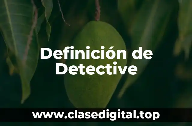 Definición de Detective