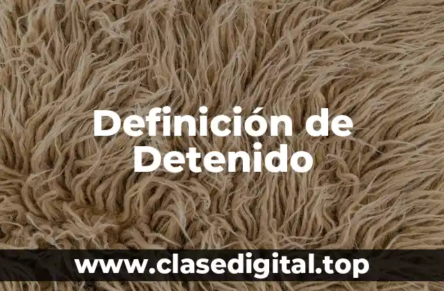 Definición de Detenido