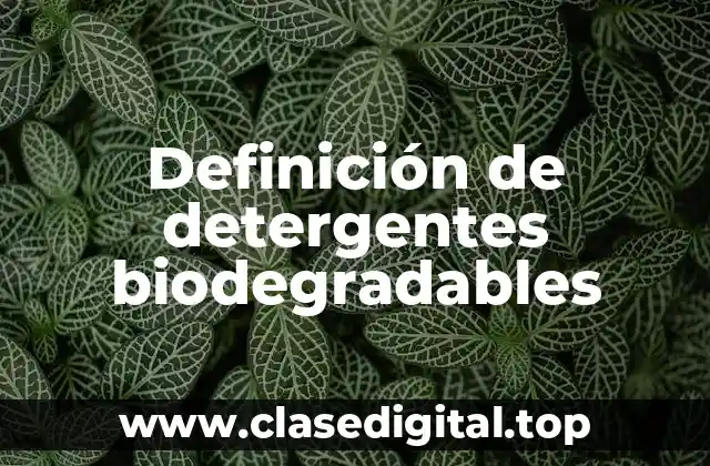 Ejemplos de detergentes biodegradables