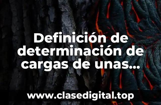 Definición de determinación de cargas de unas pinzas