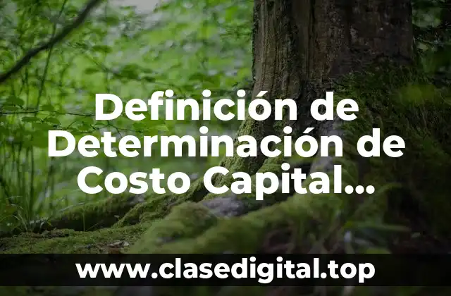 Definición de Determinación de Costo Capital Promedio Ponderado