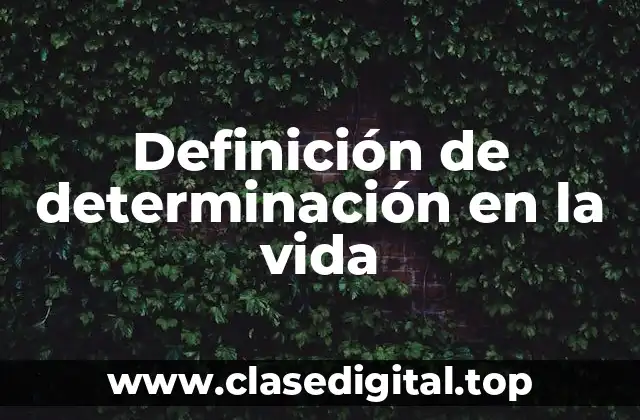 Definición de determinación en la vida