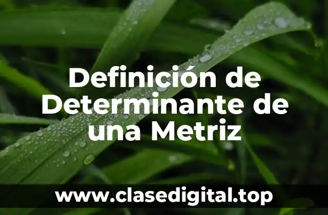 Definición de Determinante de una Metriz