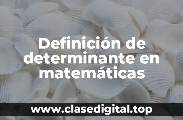 Definición de determinante en matemáticas
