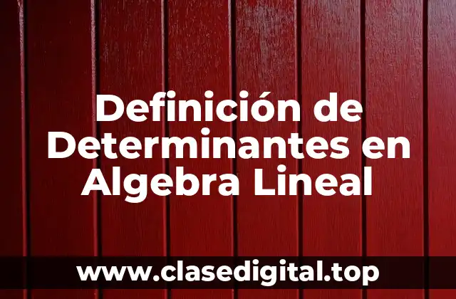 Definición de Determinantes en Algebra Lineal