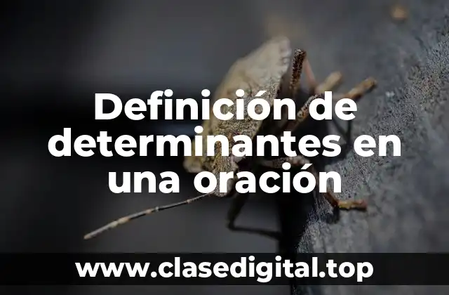 Definición de determinantes en una oración