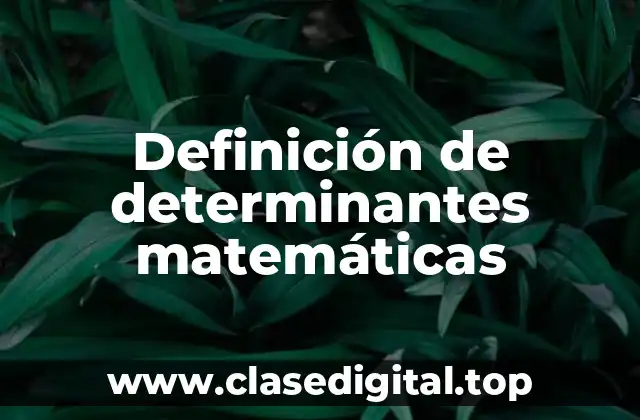 Definición de determinantes matemáticas