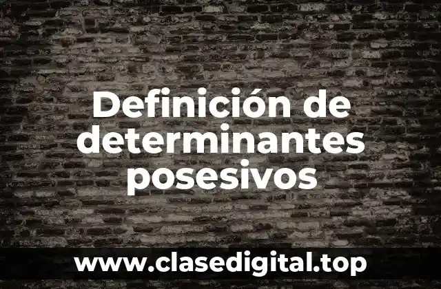 Definición técnica de determinantes posesivos