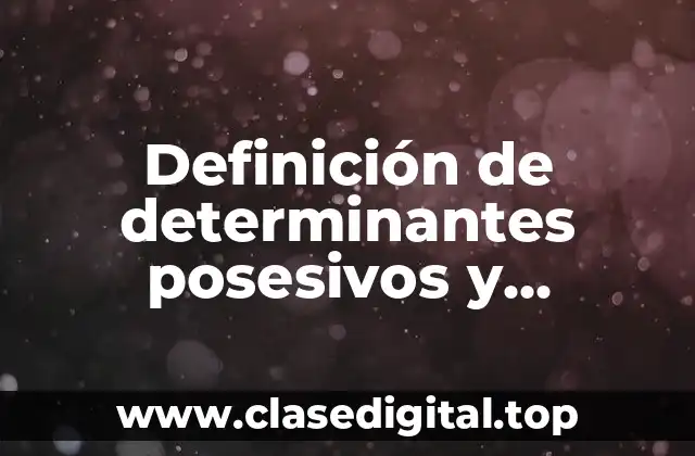 Ejemplos de determinantes posesivos