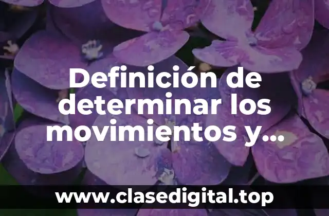 Definición de determinar los movimientos y cuentas en contabilidad
